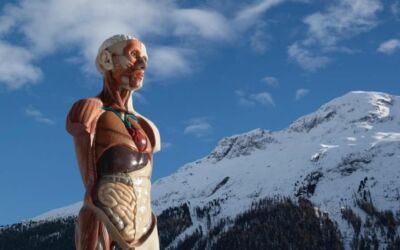 Mental Escapology – exposição Damien Hirst ST Moritz